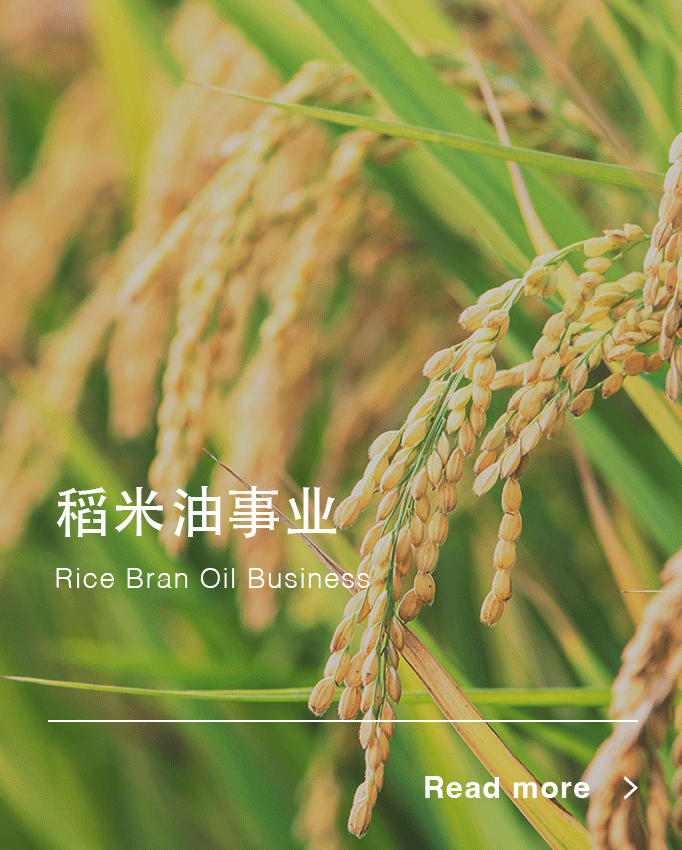 稻米油事业