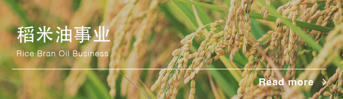 稻米油事业
