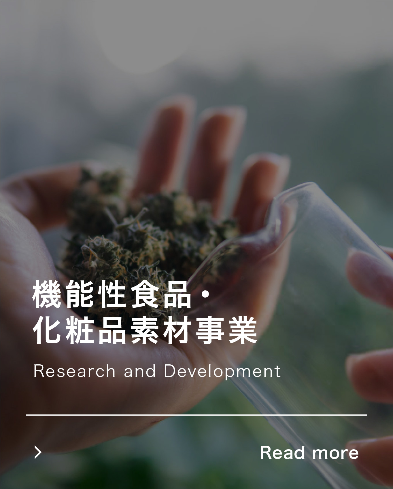 機能性食品・化粧品素材事業