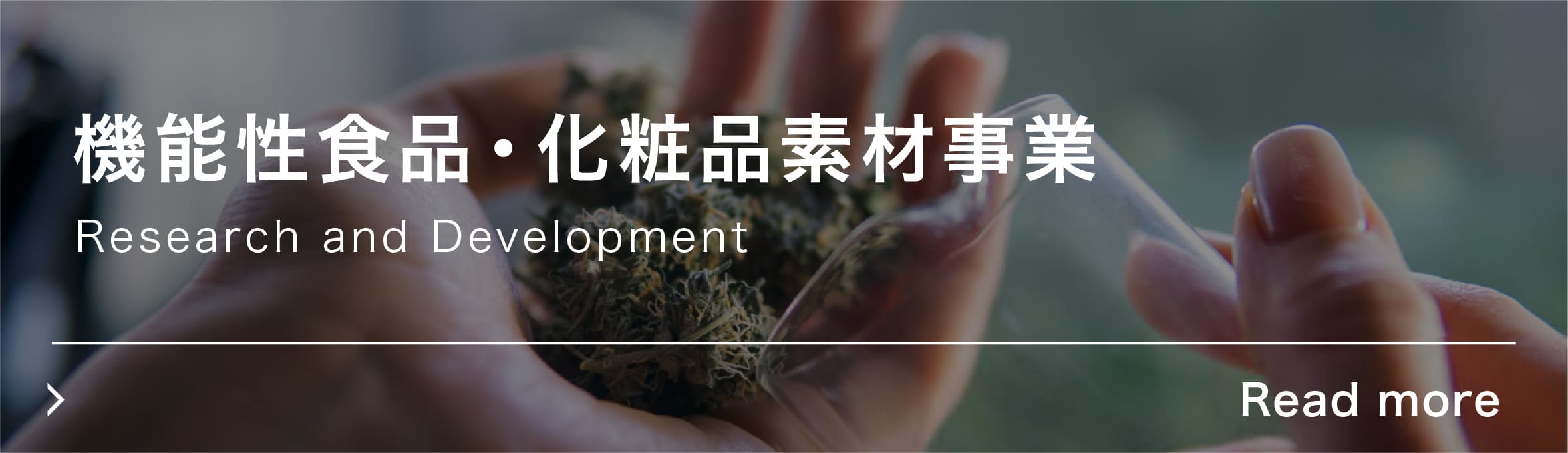 機能性食品・化粧品素材事業