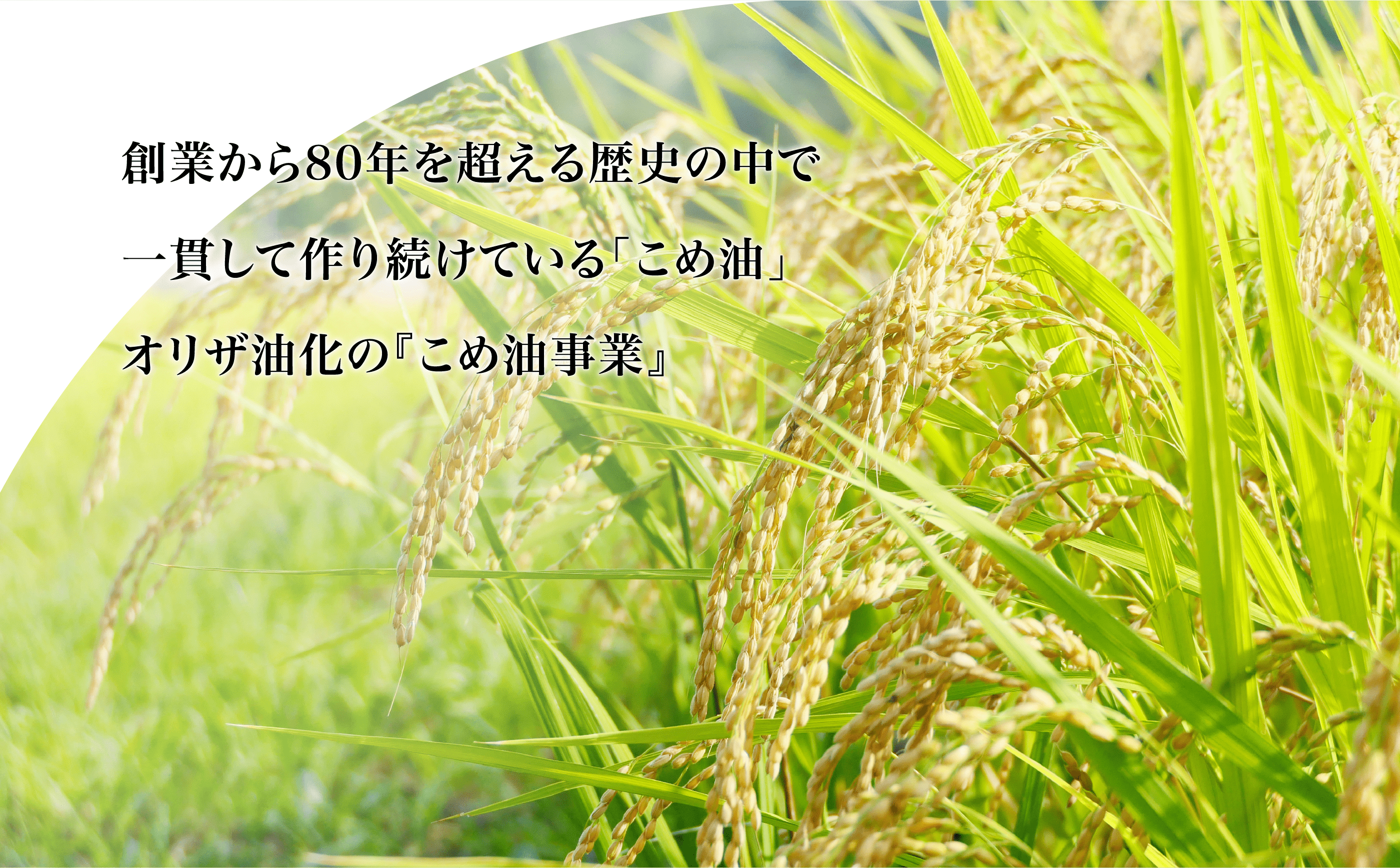 オリザ油化の『こめ油事業』