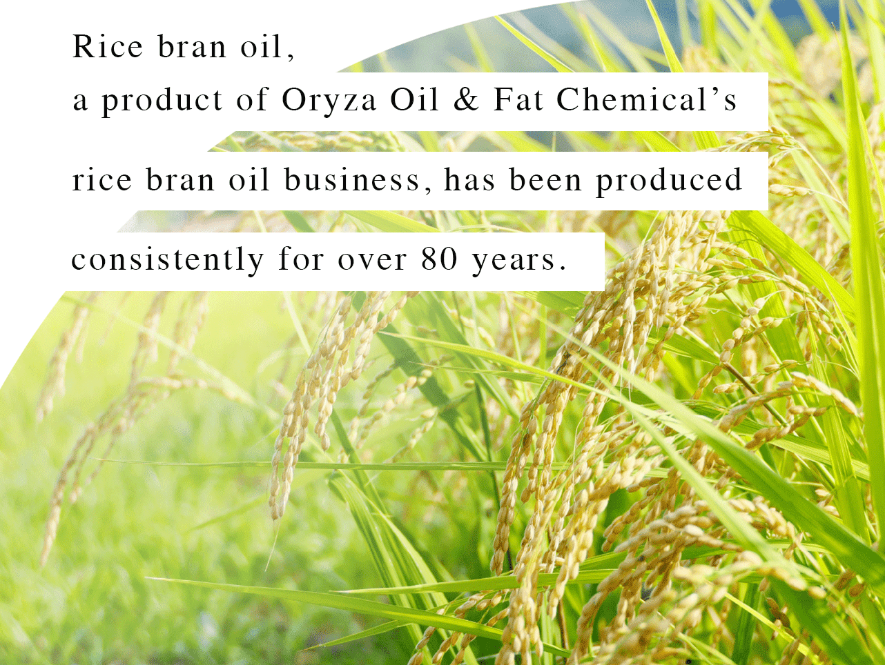 Oryza Oil Chemical’s Rice Bran Oil Business
