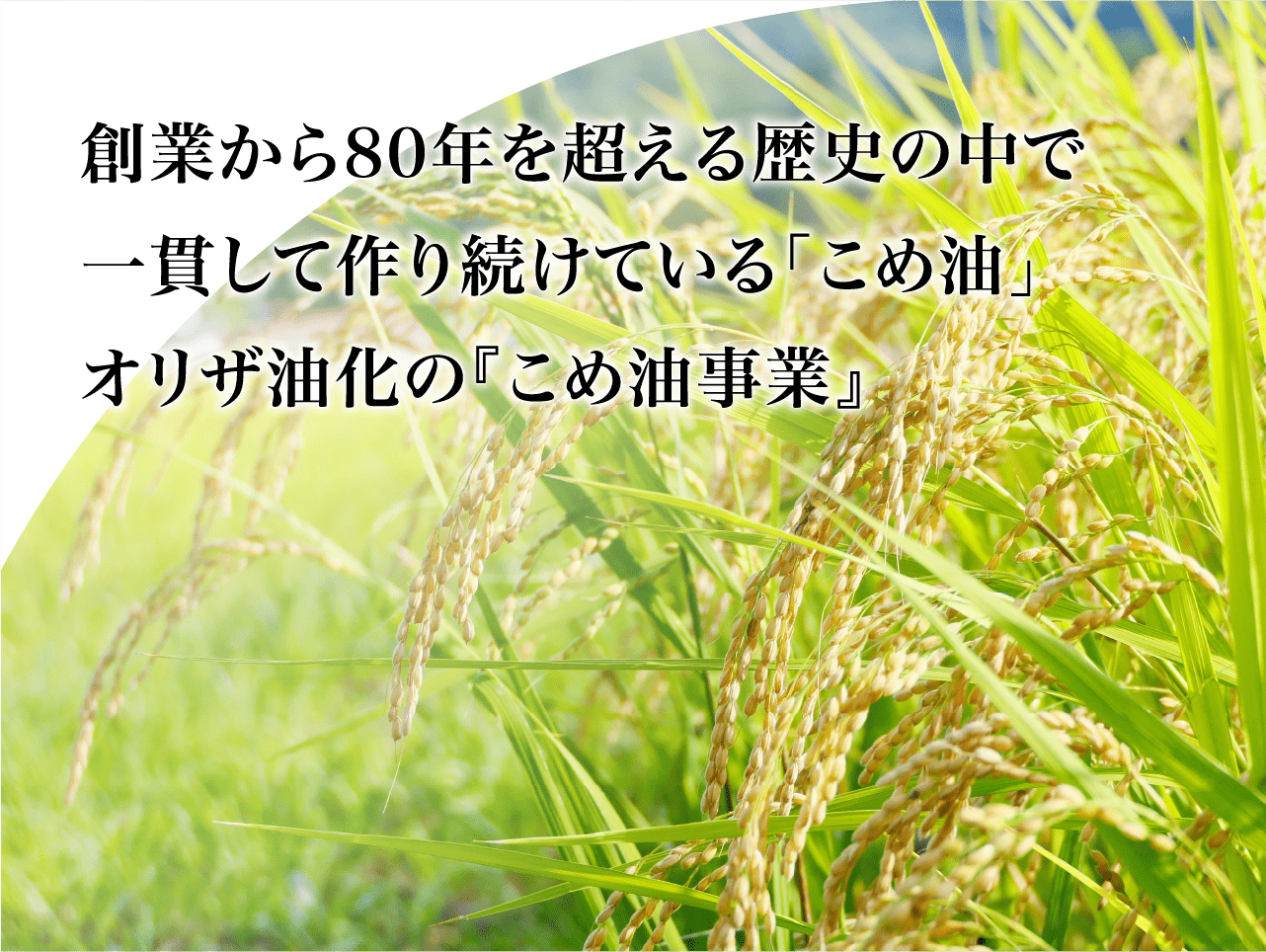 オリザ油化の『こめ油事業』