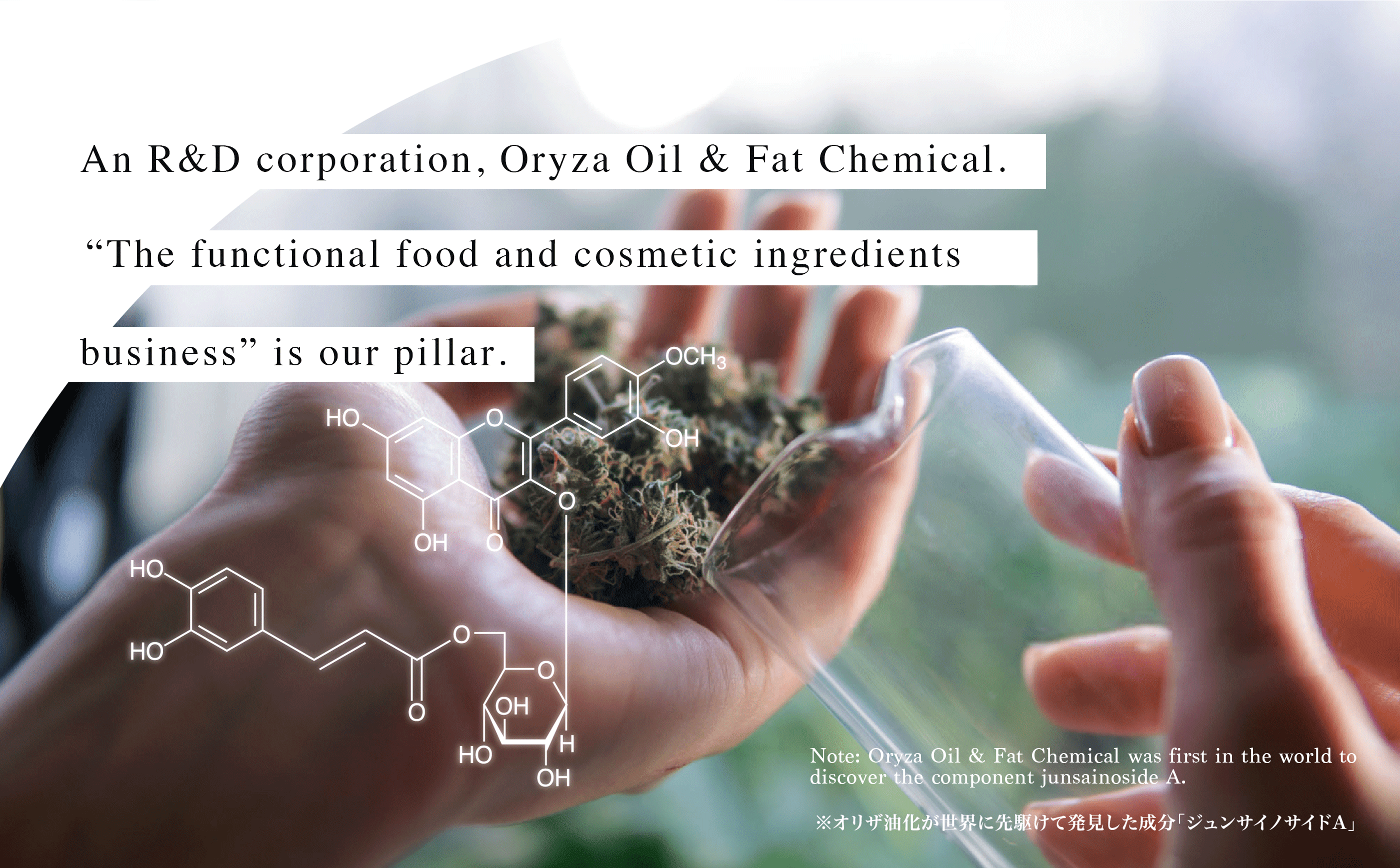 “Research and Development” type company