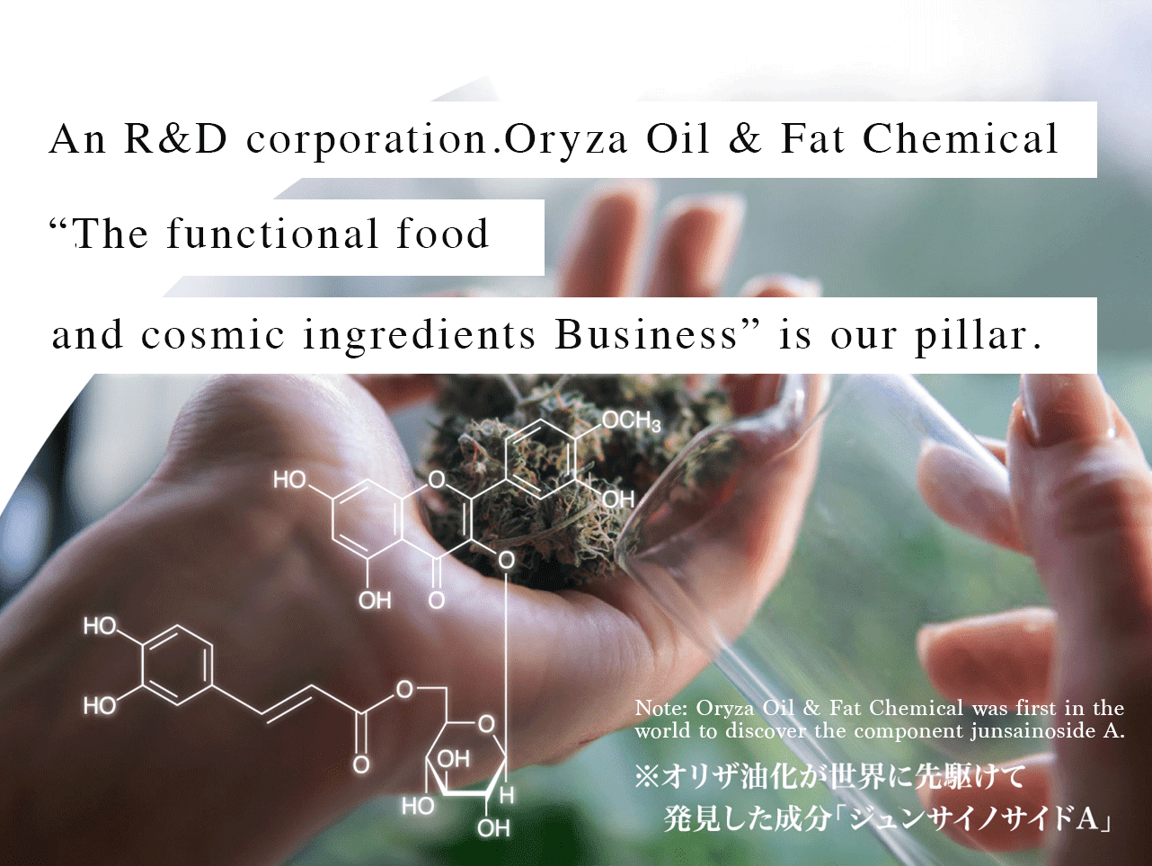 “Research and Development” type company