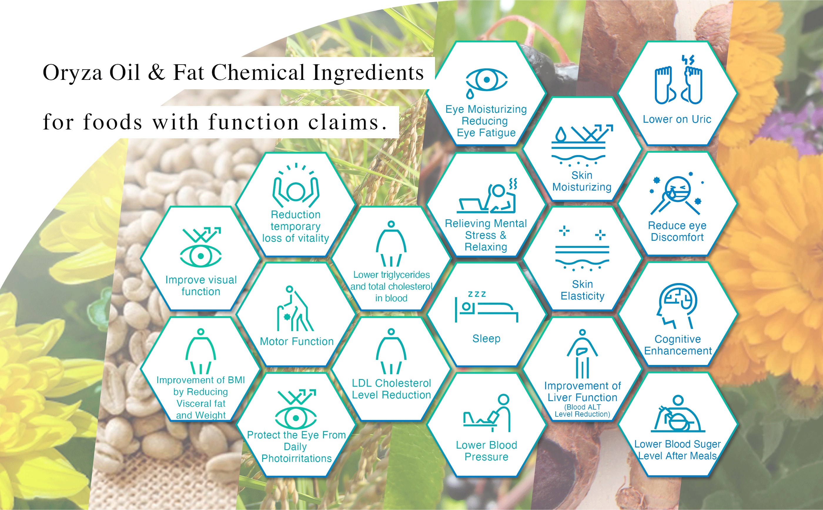 Oryza Oil & Fat Chemical’s Functional Food Ingredients