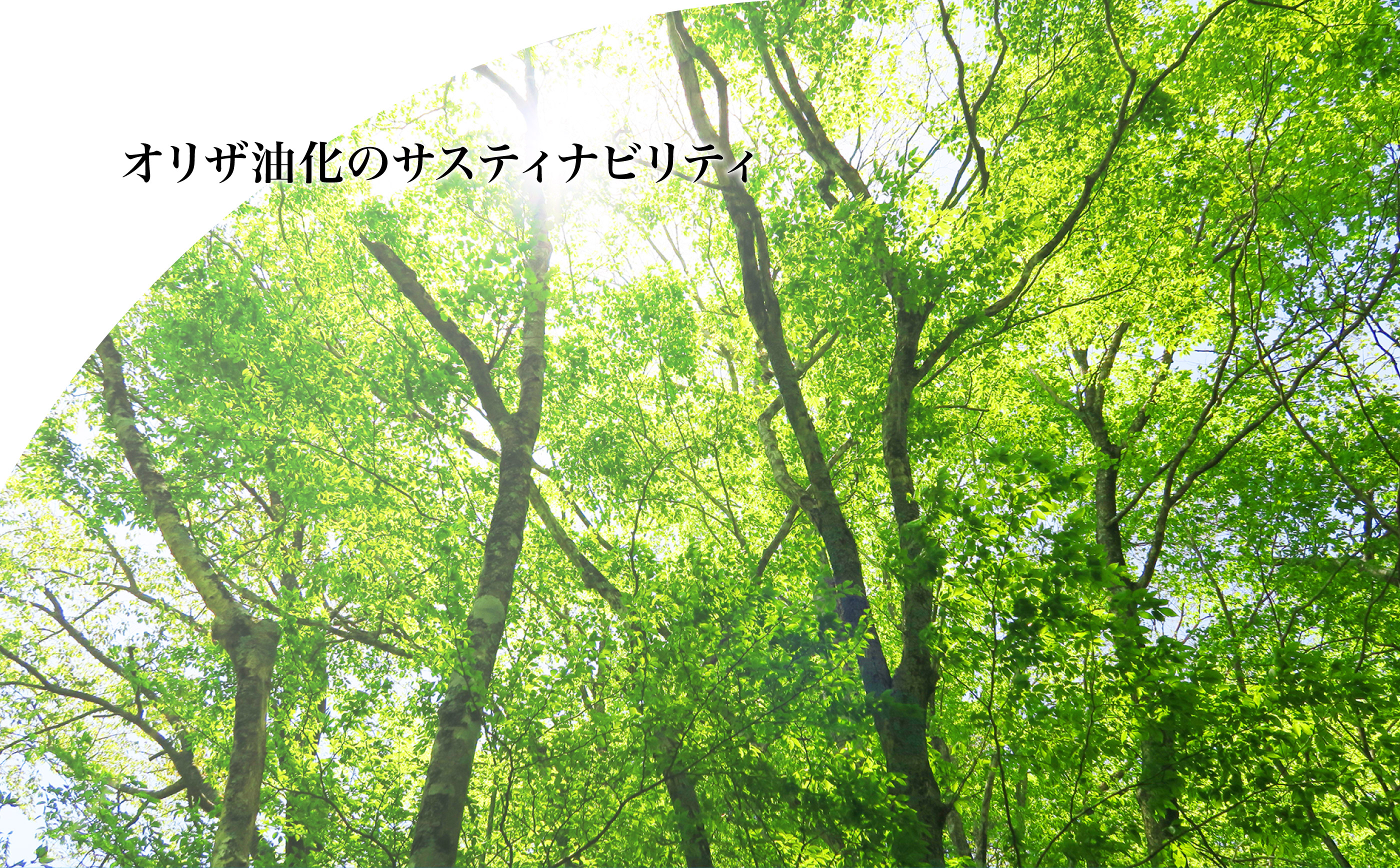 オリザ油化のサステナビリティ