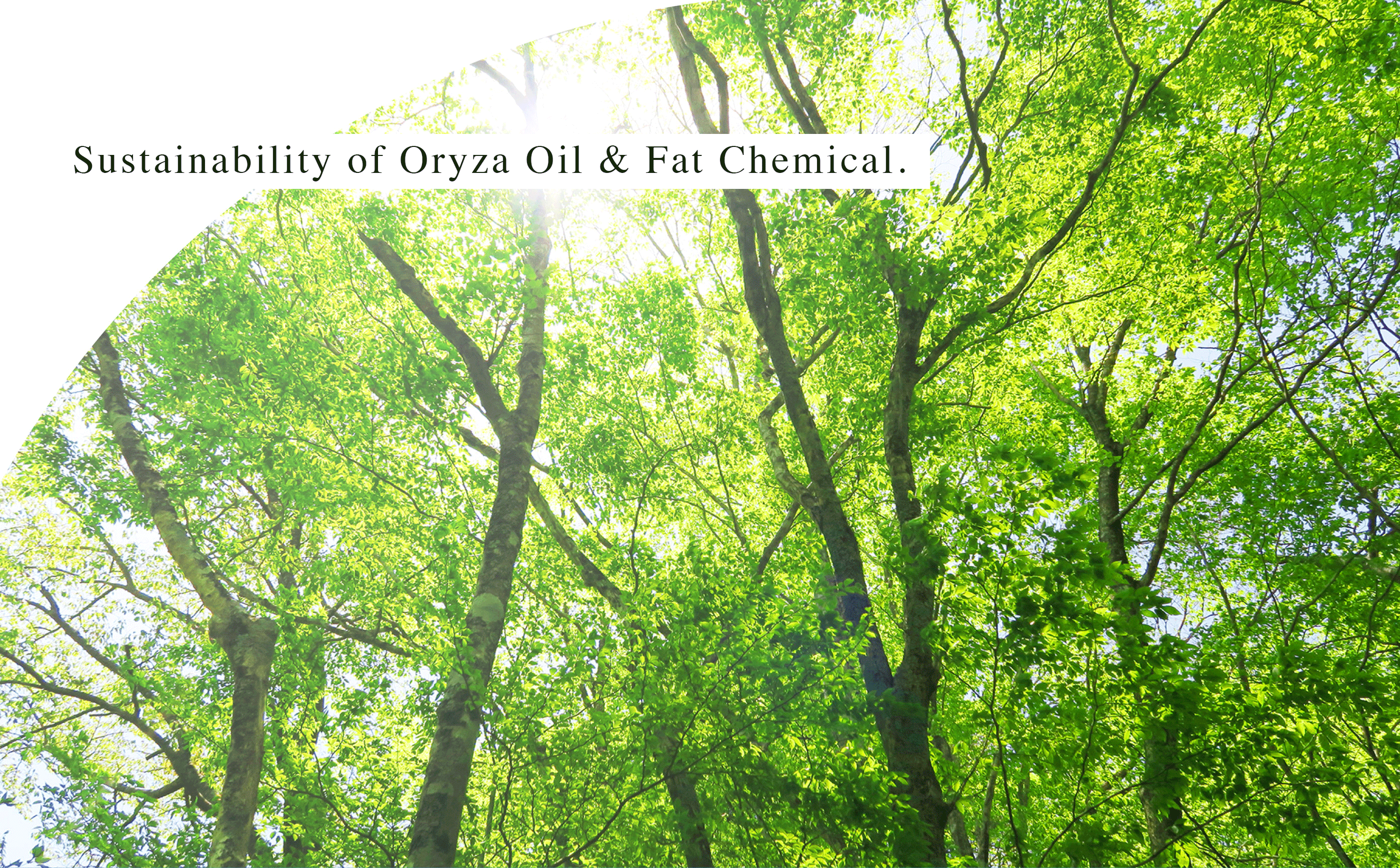 Oryza Oil & Fat Chemical’s Sustainability